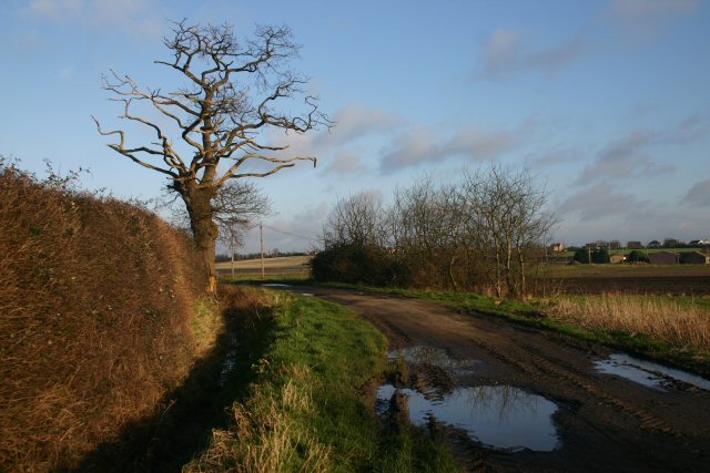 File:Hale Fen Lane - geograph.org.uk - 319515.jpg