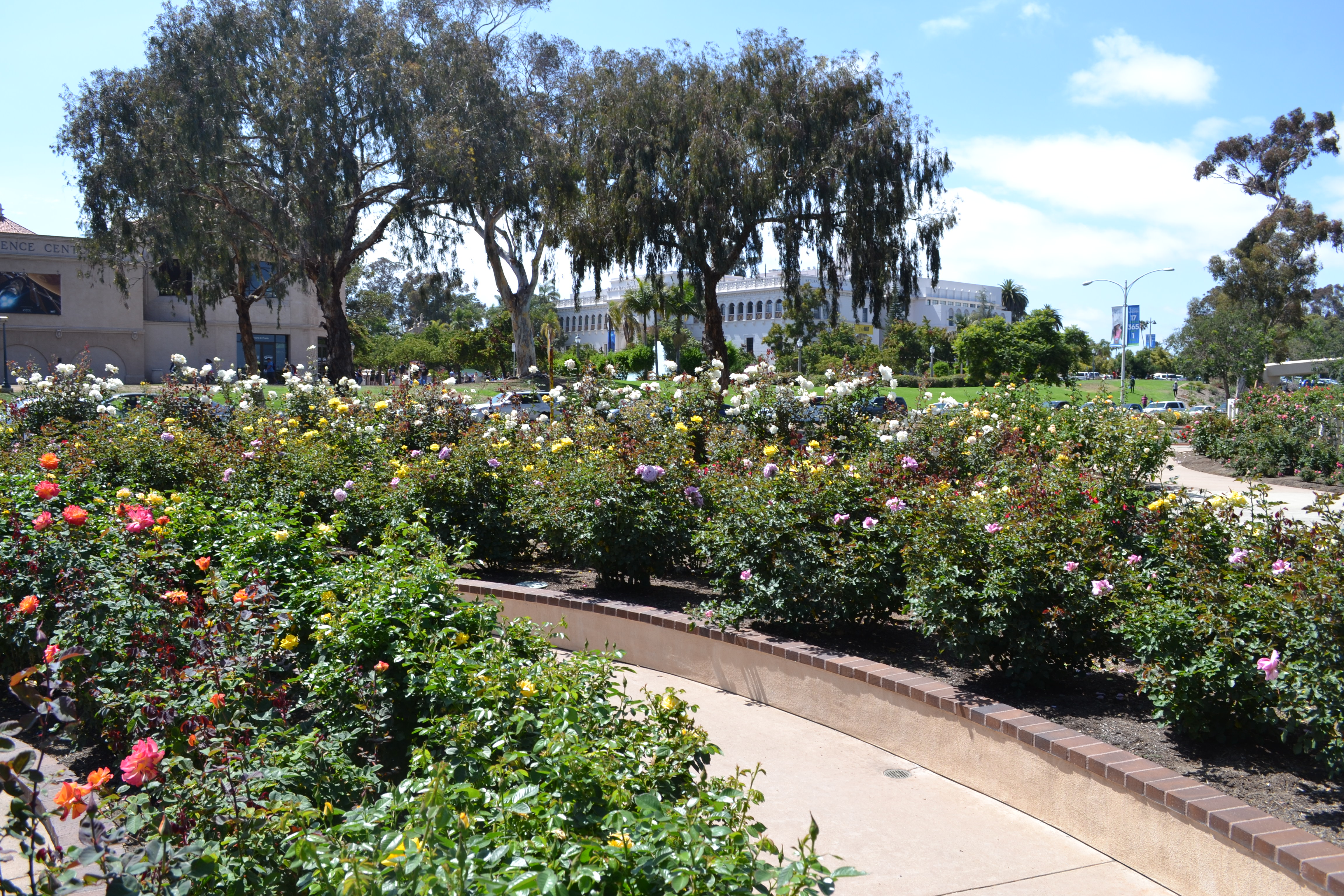 File Inez Grant Parker Memorial Rose Garden Balboa Park Jpg