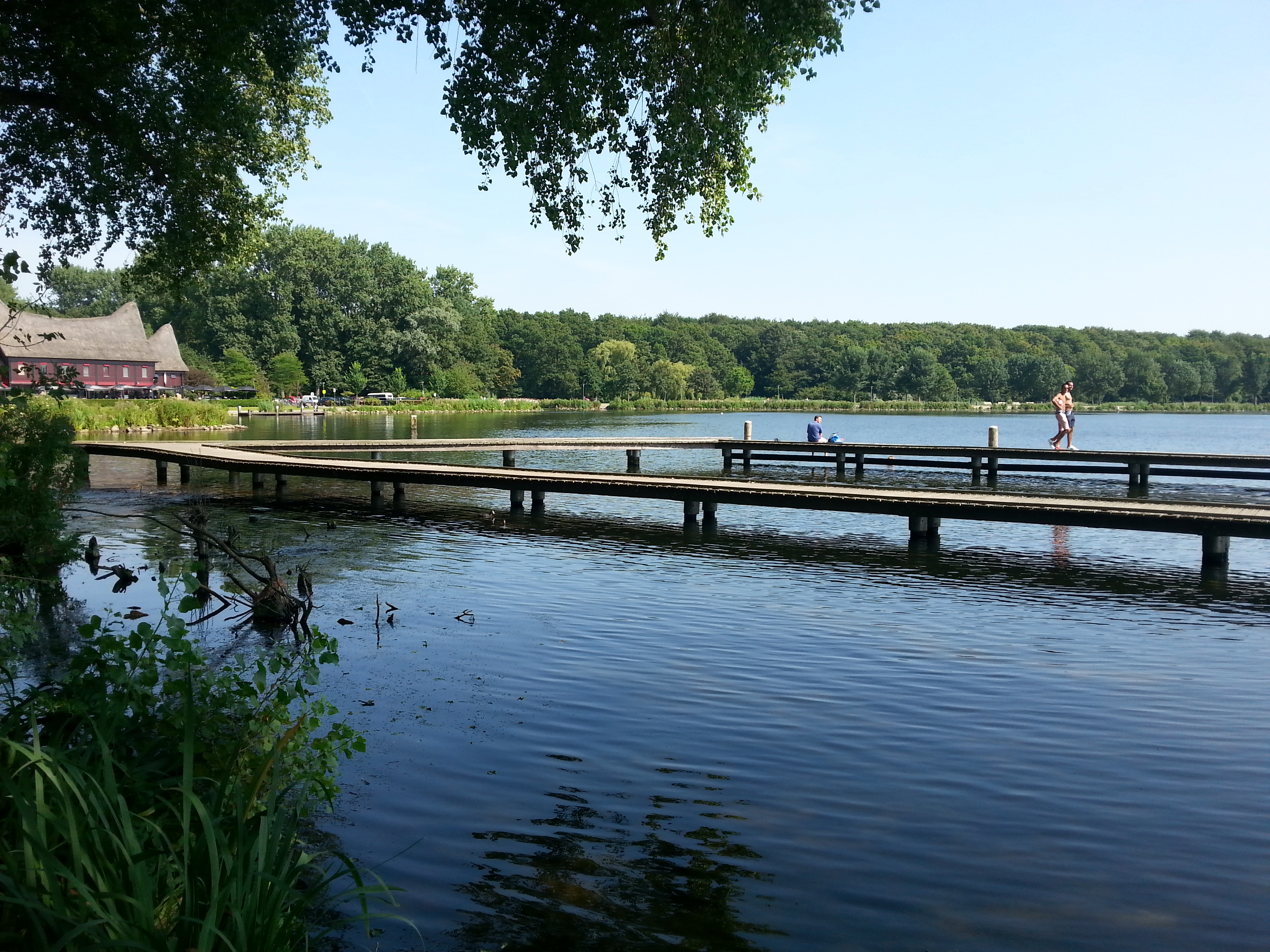 Bestand:Kralingse Bos, Rotterdam, Netherlands - panoramio Wikipedia