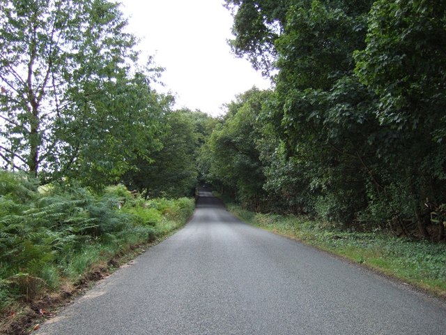 File:Lane past Priestley Plantation - geograph.org.uk - 221201.jpg