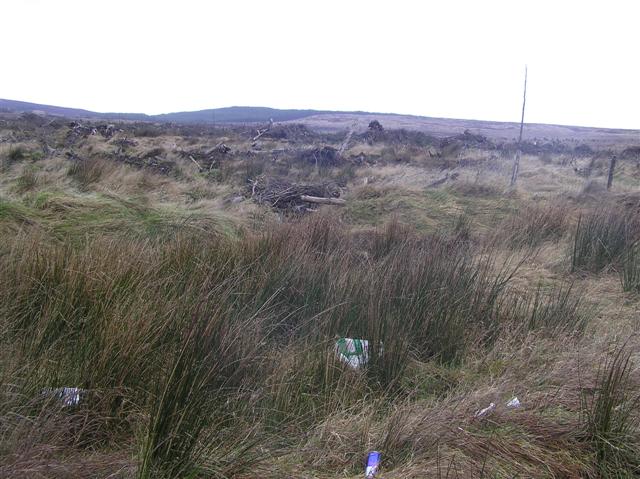 File:Loughermore Townland - geograph.org.uk - 708192.jpg