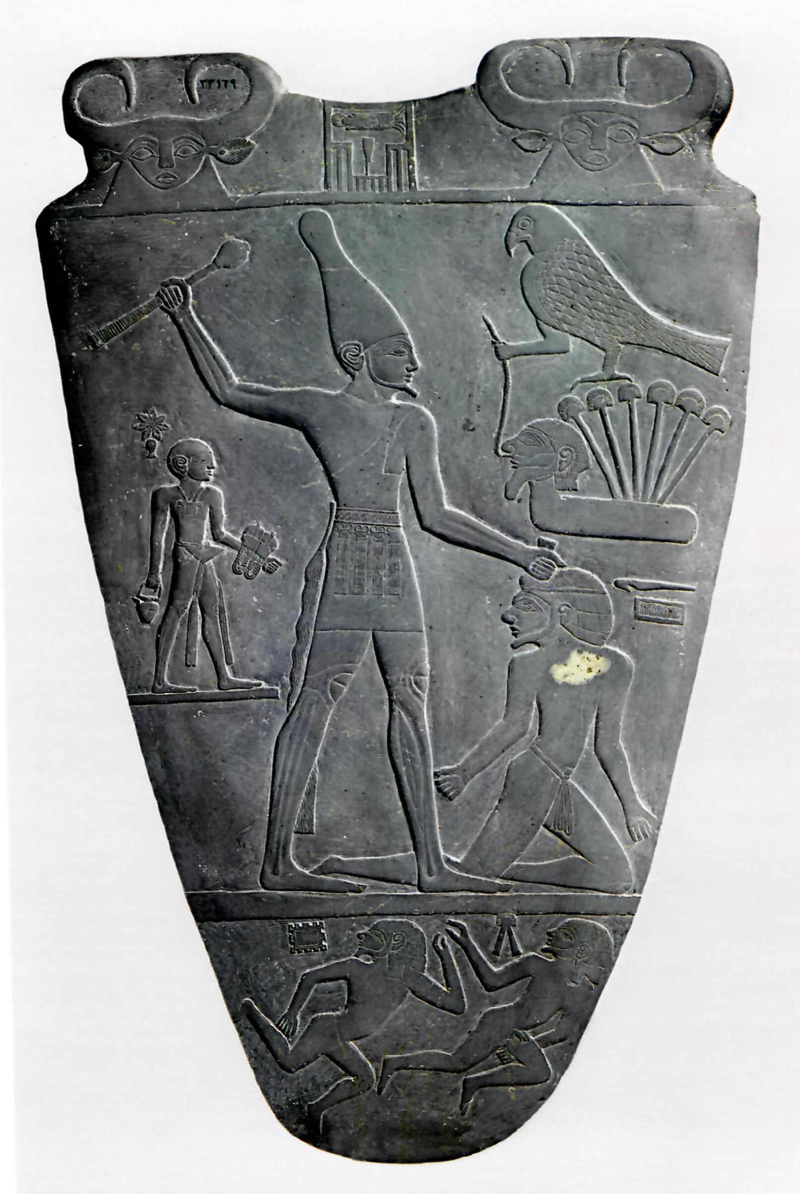 Ito Ito No Mi: Model Pharaoh, Wiki