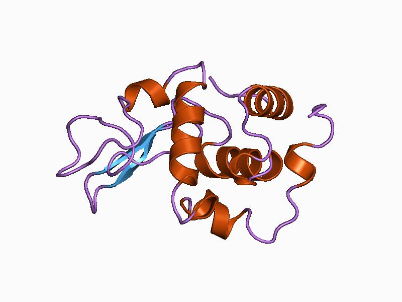 File:PDB 1b7p EBI.jpg