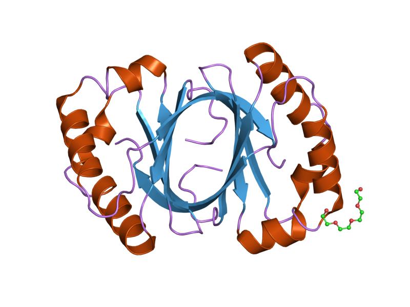 File:PDB 1lq9 EBI.jpg