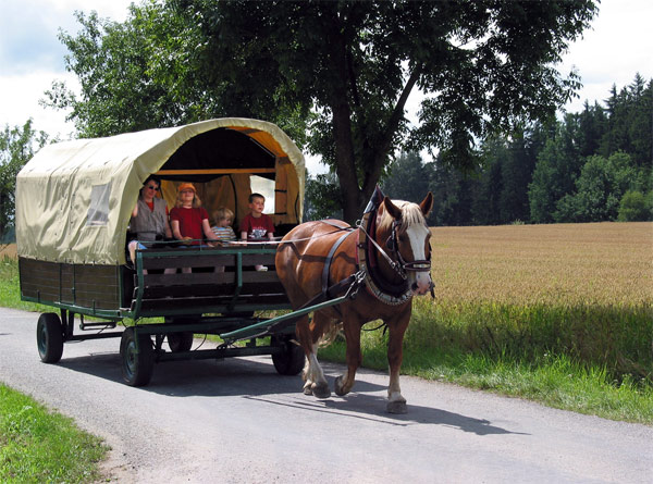 Paard en wagen -