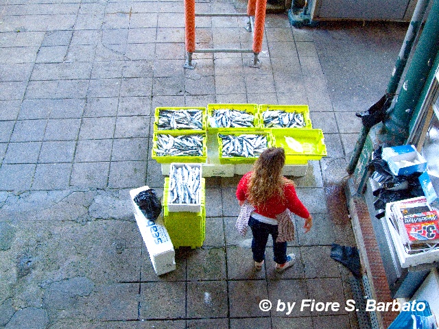 File:Porto (P), 2011, Mercado do Bolhão. (6065092402).jpg