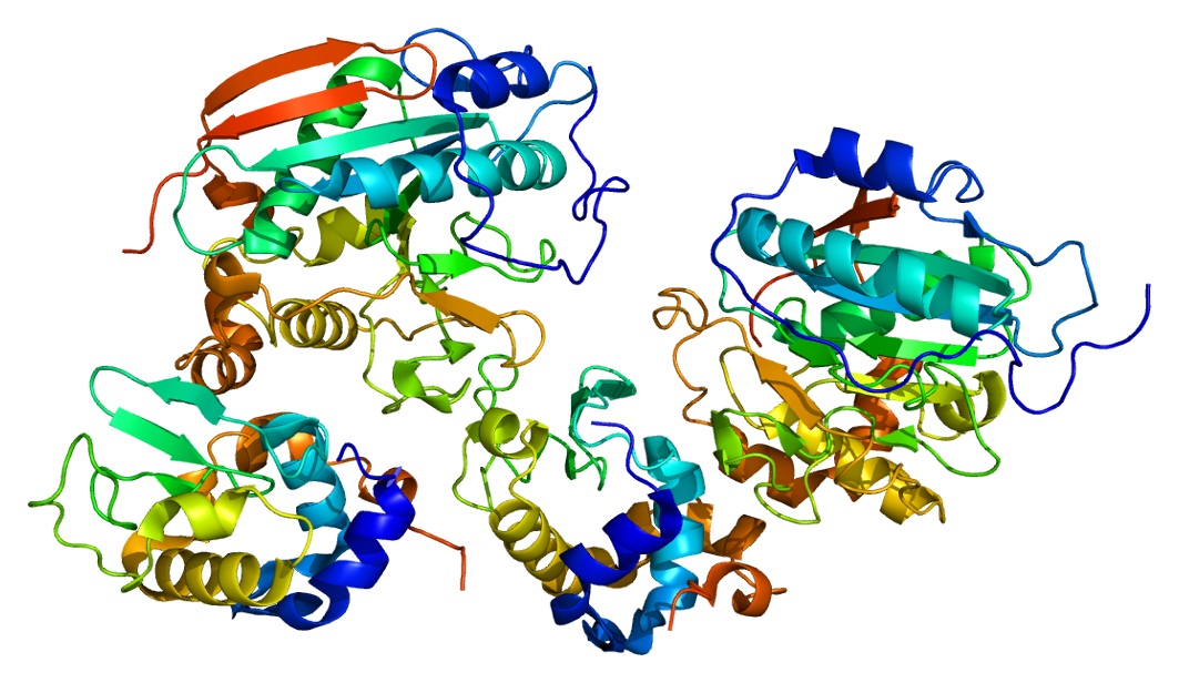 Структура белка PYMOL. Мутации в гене Galt. Белок b50. Ген белок признак.