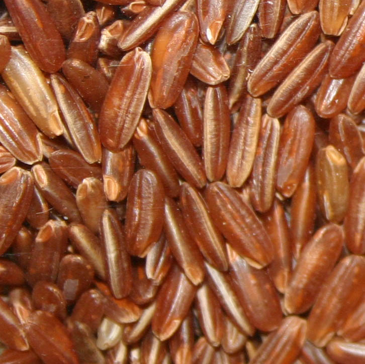 Brown rice - Wikipedia