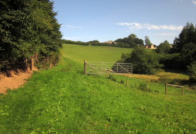 Ridge and Valley Walk near Nethercott - geograph.org.uk - 3621732