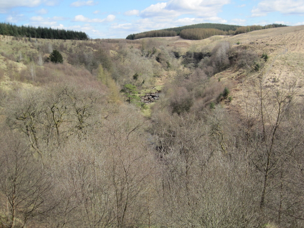 River Irthing Gorge below Crammel Linn - geograph.org.uk - 1845799