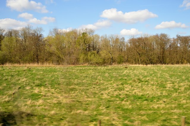 File:Rough grasses - geograph.org.uk - 5567018.jpg