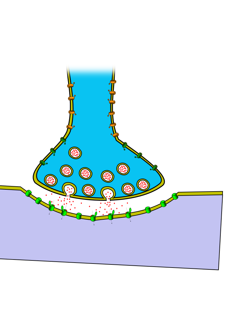 File:Eskola.png - Wikimedia Commons