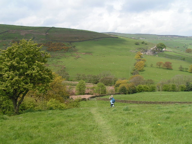 File:The valley of Surgill Beck - geograph.org.uk - 46217.jpg