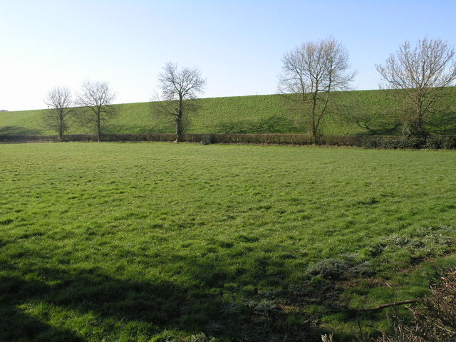 Trees and Dam Wall - geograph.org.uk - 359145