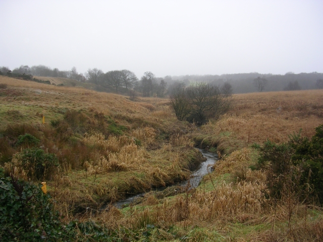 File:Trub Brook - geograph.org.uk - 111057.jpg