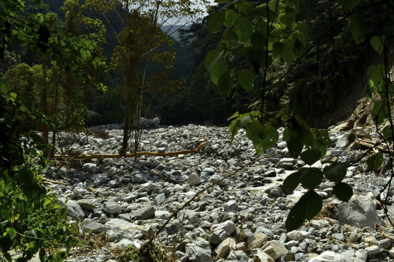 File:UG Rwenzori NP (95) (16646185623).jpg