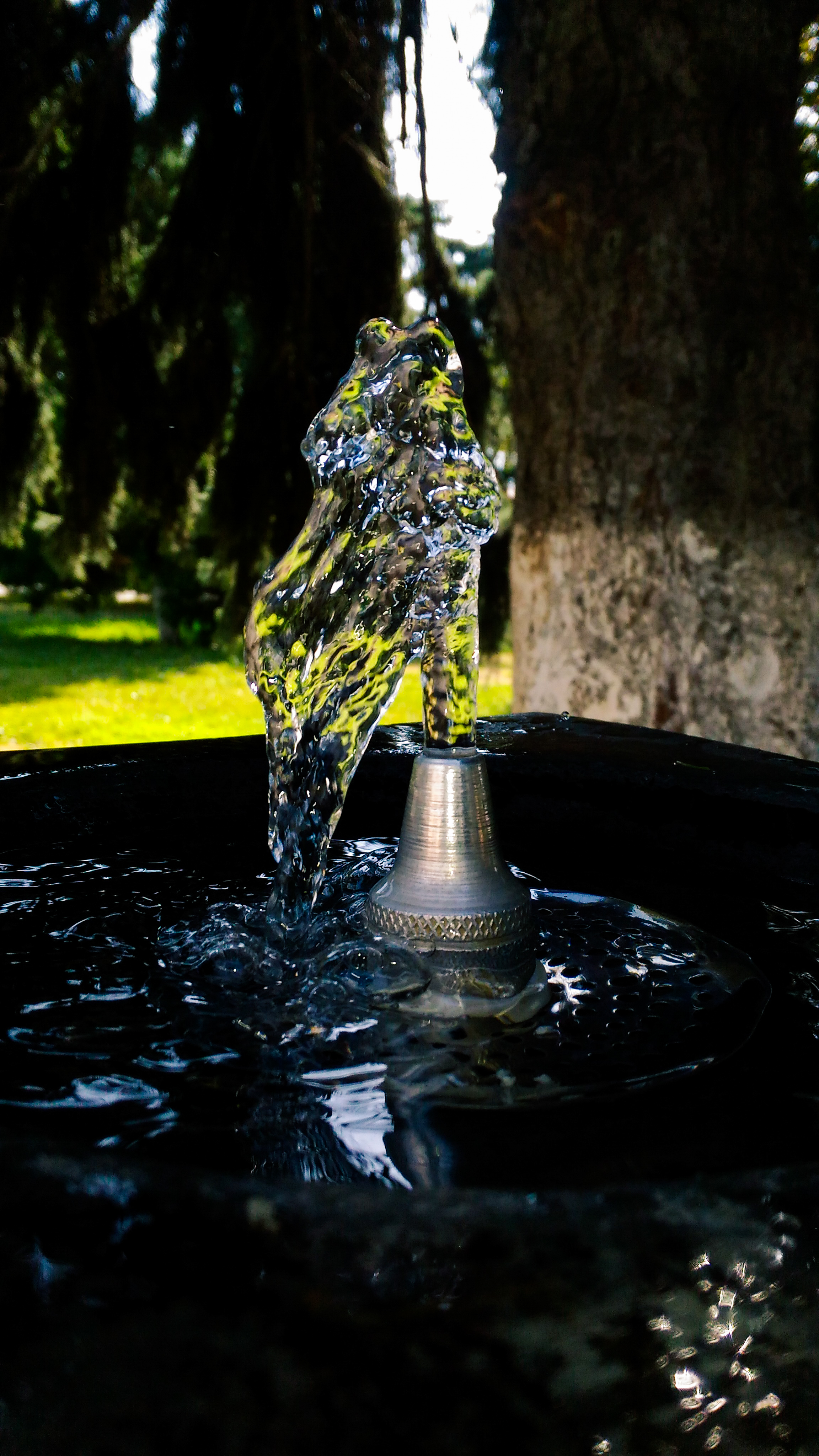 fast shutter speed photography water