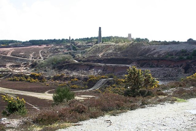 Consolidated Mines