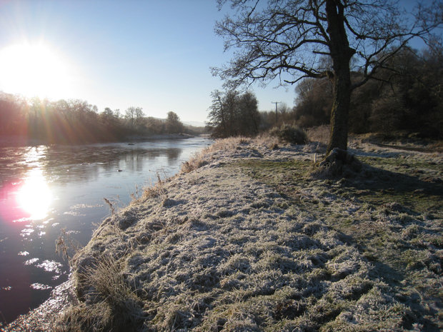 Winter Crisp - geograph.org.uk - 904890