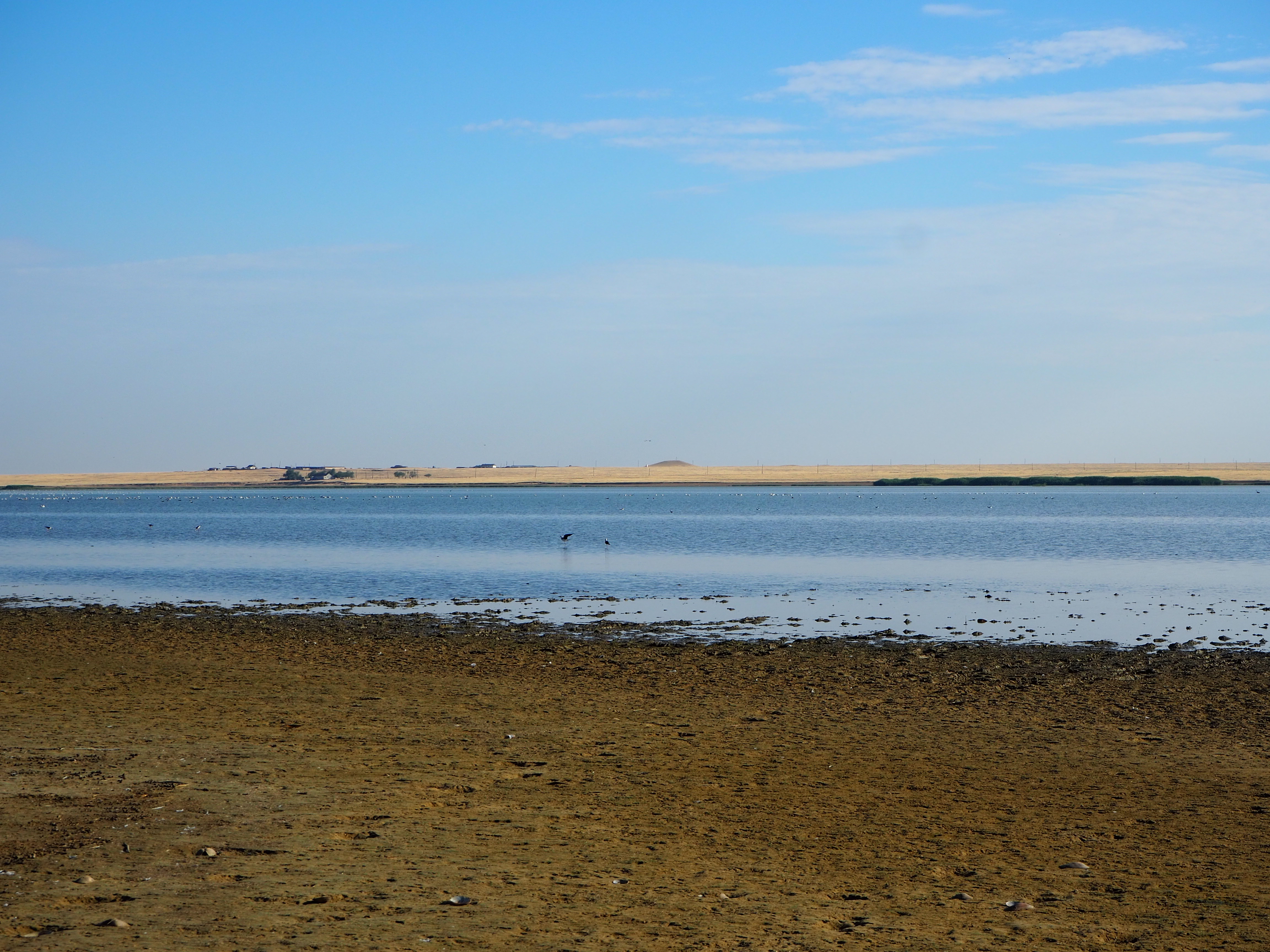 Чограйское водохранилище фото