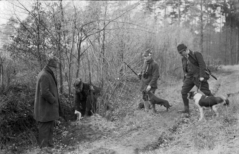 File:1930er Jahre circa Max Hugo Weigold Fotografie Kaninchenjagd mit Frettchen im Misburger Staatsforst Dr. Dahlgrün, Förster Ernst, Ernst Schaefer, Rolf Dahlgrün Niedersächsisches Landesmuseum Hannover.jpg