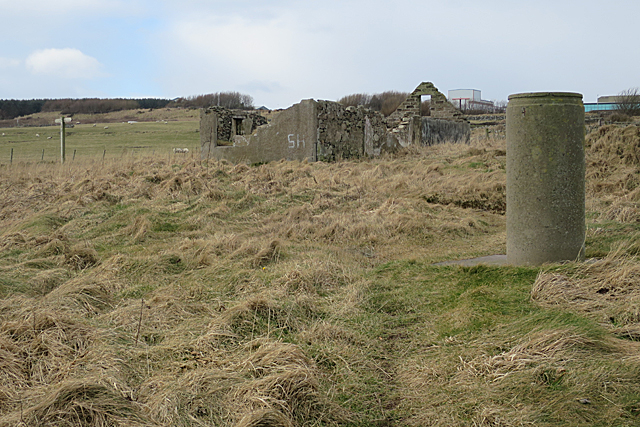 File:A Bit of Variety - geograph.org.uk - 5702287.jpg