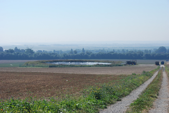 File:A newly ploughed field - geograph.org.uk - 711617.jpg