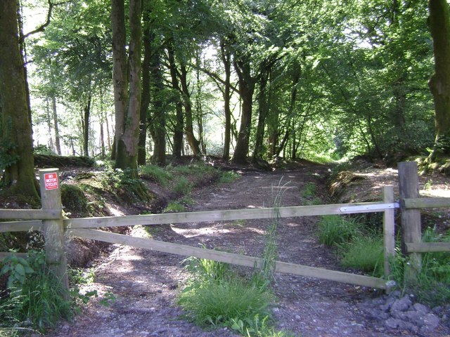 File:Abandoned road north of Ideford Common - geograph.org.uk - 1371566.jpg