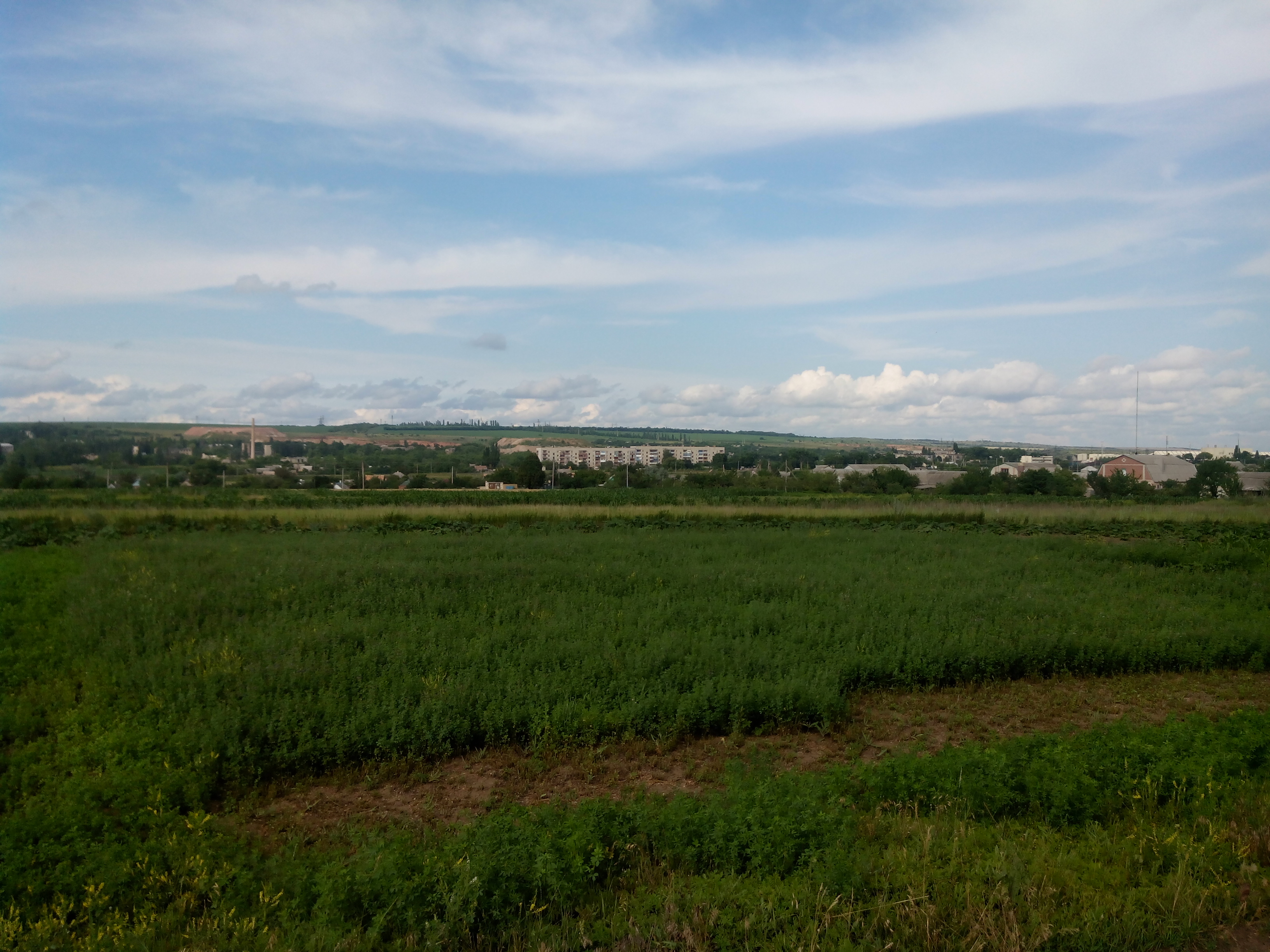 Село веселое донецкая область население