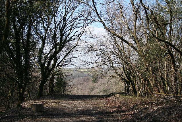 File:Buckland Monachorum, by the site of Grenofen viaduct - geograph.org.uk - 1233259.jpg