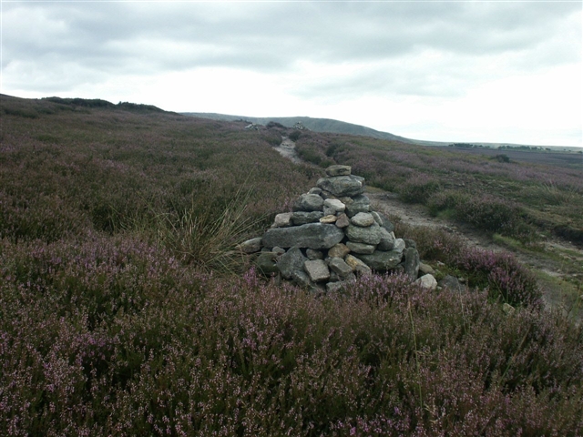 File:Cairn, Middle Moor - geograph.org.uk - 222363.jpg