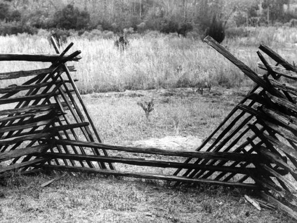 File:Close up of a fence- Silver Glen Springs (3576089560).jpg