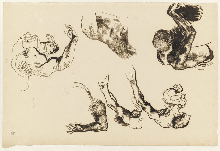 File:Delacroix - Etudes homme vu de dessus ; bras ; demi torse, RF 10567, Recto.jpg