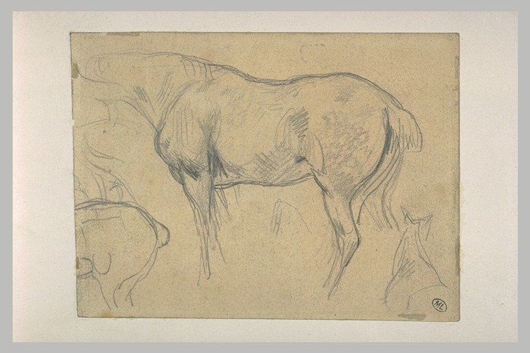 File:Delacroix - Feuille d'études de chevaux, RF 9722, Recto.jpg