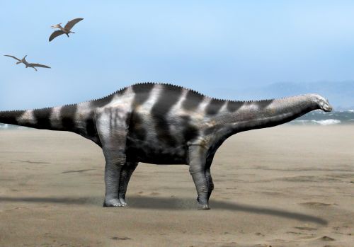 Plik:Demandasaurus NT.jpg
