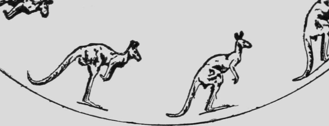 https://upload.wikimedia.org/wikipedia/commons/d/d2/Descriptive_Zoopraxography_Kangaroo_Jumping_Animated_12.gif