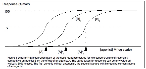 The tissue response (y-axis) to an agonist, in log concentration (x-axis), in the presence of different antagonist concentrations. The EC50 of the agonist is represented by the x co-ordinate that corresponds with the half-maximum of the leftmost curve. This is denoted by [A]