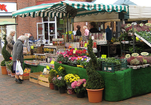 File:Early birds at the plant stall - geograph.org.uk - 1002490.jpg