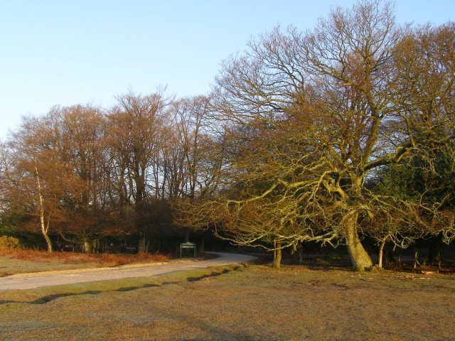 Entrance to Cadman's Pool car park, New Forest - geograph.org.uk - 150794