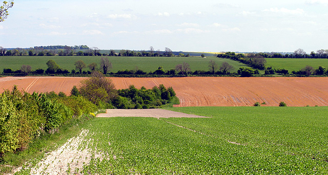 Farmland near Chilton - geograph.org.uk - 10267