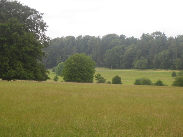 File:Farmland near Fonthill House 3 - geograph.org.uk - 912026.jpg