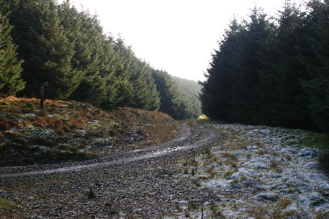 File:Forest road on Lady Cairn hill - geograph.org.uk - 81753.jpg