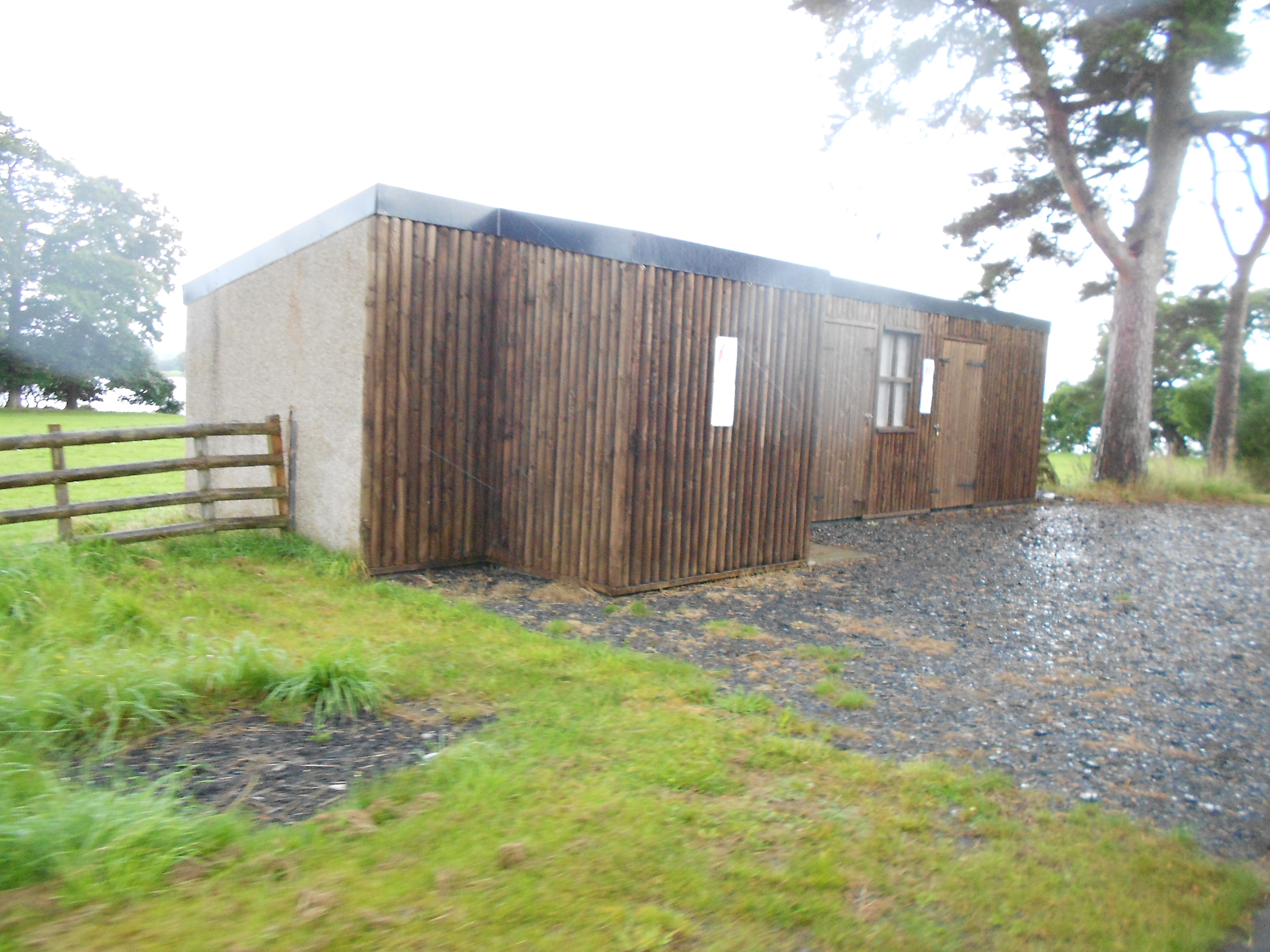 Glan Llyn Halt railway station