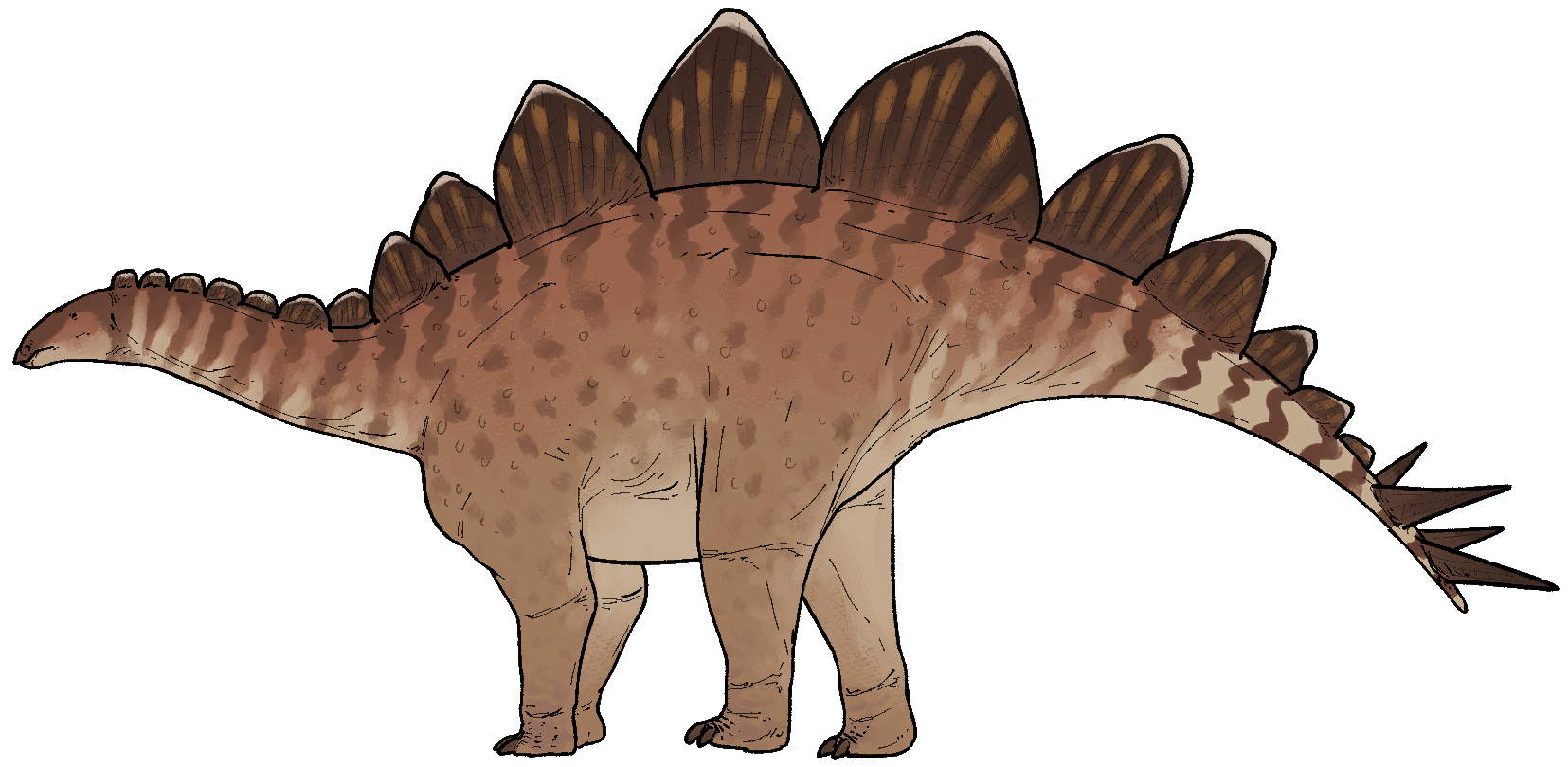 Hesperosaurus mjosi