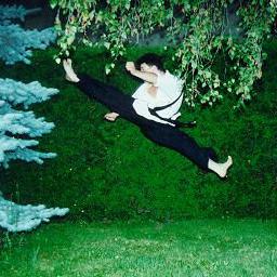 Jump Back Hook Kick, Taekwondo Wiki