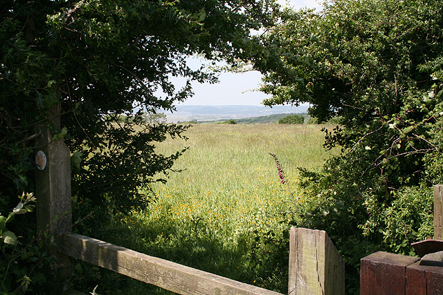 File:Llanrhidian Higher Community, footpath at Cilonen Road - geograph.org.uk - 185088.jpg