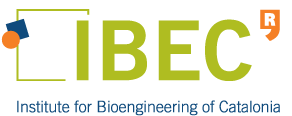 The Institute for Bioengineering of Catalonia (IBEC) is 