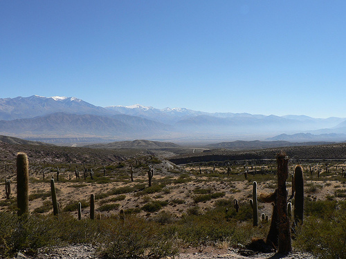 File:Los Cardones National Park.jpg