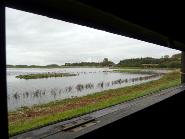 File:Martin Mere - geograph.org.uk - 1602557.jpg