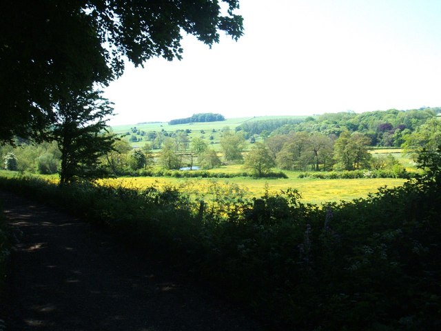 File:Meadow, hedgerow and a glimpse of the River Wye - geograph.org.uk - 1346440.jpg